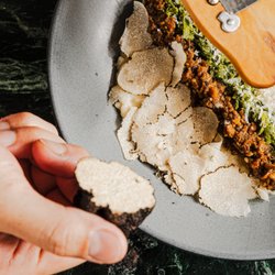 Jade - Mushroom Risotto
