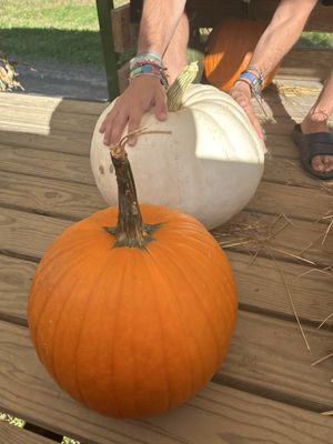 Rulfs Orchard by null