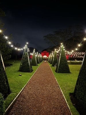 Rhubarb at Prestonfield House by null