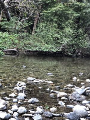 Fernwood Resort and Campground by null