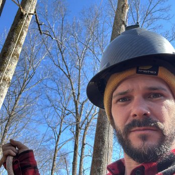 Metro Tree Service - Tree Services Near Me - Midfield, Alabama Metro Tree Service - Tree Services Near Me - Midfield, Alabama