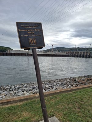 Tennessee Riverpark by null