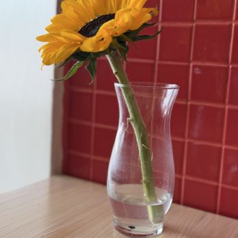 Pluma - Real Sunflower - Chicken Shop Near Me - Miami, Florida