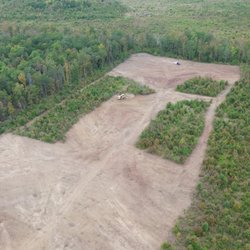 Hurst Landworks - Clearing 40 acres of overgrown pasture