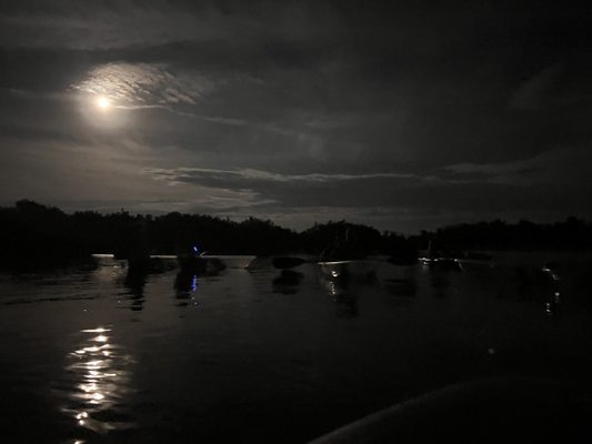 A Day Away Kayak Tours by null