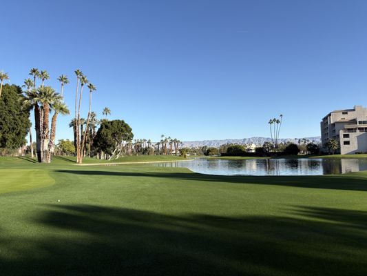 Desert Island Country Club by null