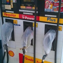 Shell - Odd