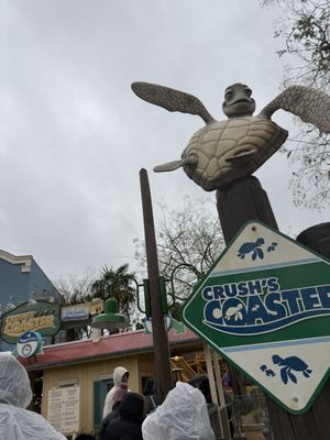 Crush's Coaster by null