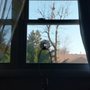 Photo of Sharp Cut Tree Care