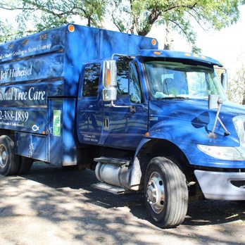 Jeff H Pro Tree Care - Tree Services Near Me Jeff H Pro Tree Care - Tree Services Near Me