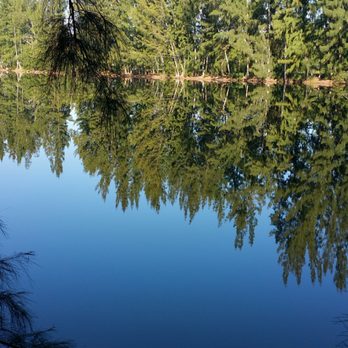 Wolf Lake Park - So nice. - Parks Near Me - Davie, Florida Wolf Lake Park - So nice. - Parks Near Me - Davie, Florida