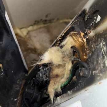 Countryside Village Apartments - Burnt wiring and heating element. - Apartments Near Me - Moore, Oklahoma Countryside Village Apartments - Burnt wiring and heating element. - Apartments Near Me - Moore, Oklahoma