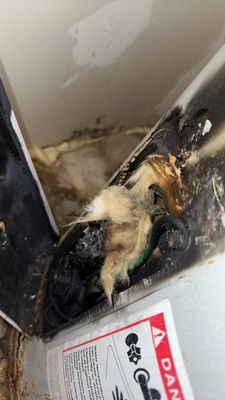 Countryside Village Apartments by null