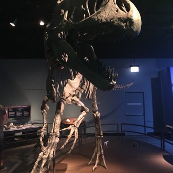 Field Museum - Museums Near Me - Chicago, Illinois