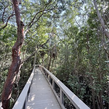 Gumbo Limbo Nature Center - Parks Near Me - Boca Raton, Florida Gumbo Limbo Nature Center - Parks Near Me - Boca Raton, Florida