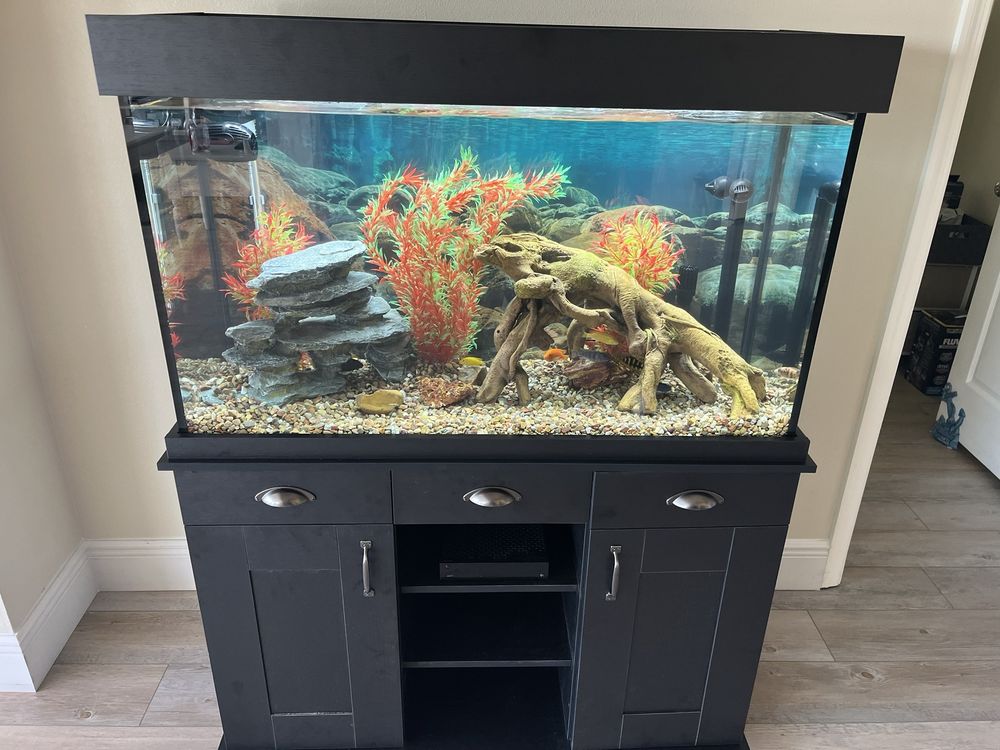 Aqua Mart Image