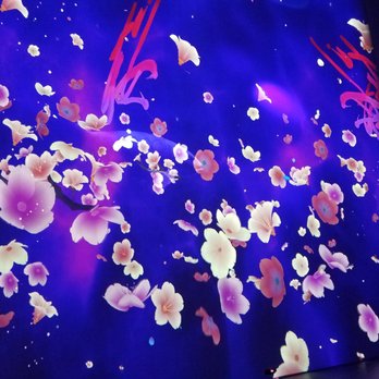 ARTECHOUSE DC - Art Galleries Near Me - Washington, DC, District of Columbia