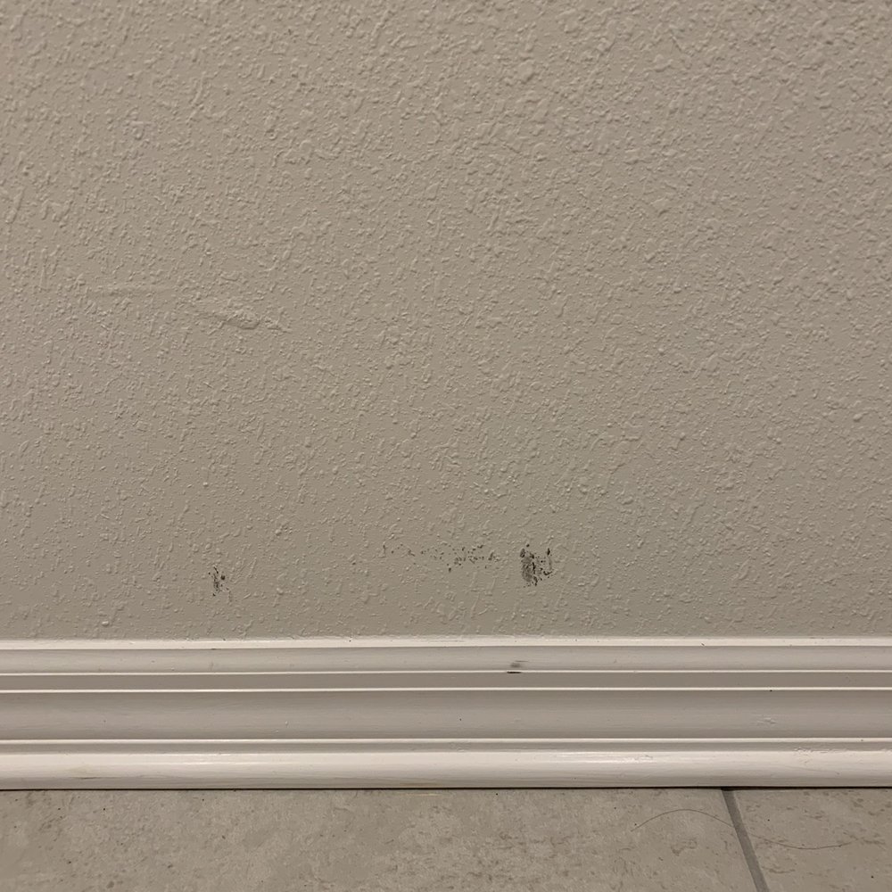 All American movers - Scratches on wall - Movers Near Me - Englewood, Colorado