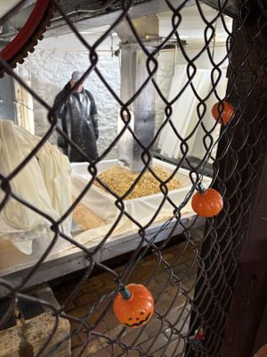 Franklin Cider Mill by null