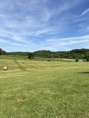 Bald Top Brewing Co. by null