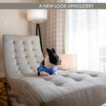 A New Look Upholstery - Chill out on your newly reupholstered Chase lounge chair. - Fabric Stores Near Me - Silver Springs, Florida A New Look Upholstery - Chill out on your newly reupholstered Chase lounge chair. - Fabric Stores Near Me - Silver Springs, Florida