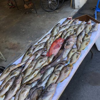 Chartle Charters - Over 50 fish in all! - Boat Charters Near Me - Santa Cruz, California
