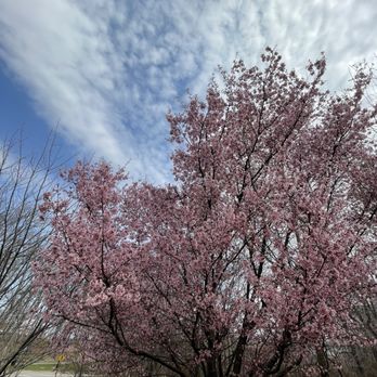 Branch Brook Park - Parks Near Me - Newark, New Jersey
