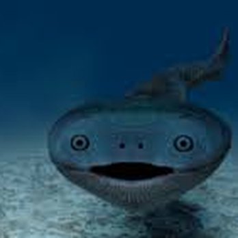 Clinton Elementary - super cool fish - Elementary Schools Near Me - Compton, California Clinton Elementary - super cool fish - Elementary Schools Near Me - Compton, California