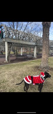 Christopher Columbus Waterfront Park by null