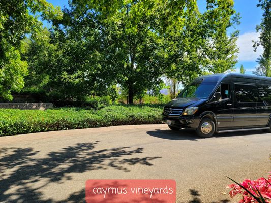 Napa Valley Tours & Transportation by null