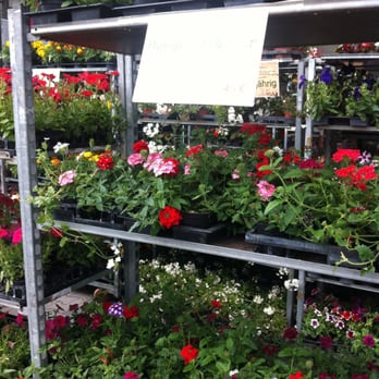 Plaza de Flores - Nurseries & Gardening Near Me - Berlin, BE