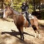 Photo of Bella’s Barn and Pet Services