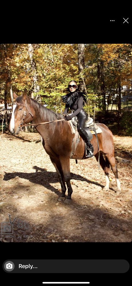 Bella’s Barn and Pet Services - equestrian in Atlanta, GA