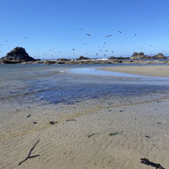 Seal Rock State Wayside - Birds everywhere - Parks Near Me - Seal Rock, Oregon Seal Rock State Wayside - Birds everywhere - Parks Near Me - Seal Rock, Oregon