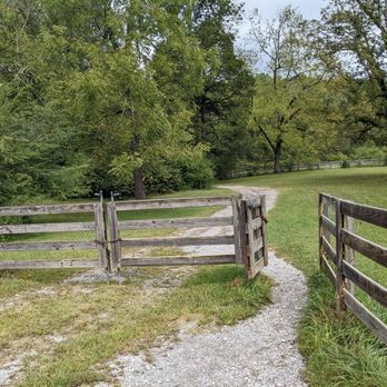 Rutledge Falls - Follow the marked path to Rutledge Falls - Local Flavor Near Me - Tullahoma, Tennessee Rutledge Falls - Follow the marked path to Rutledge Falls - Local Flavor Near Me - Tullahoma, Tennessee