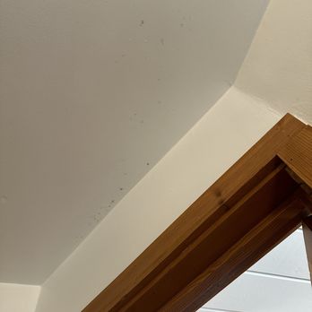 Desolation Hotel - Hope Valley - Black mold in bathroom ceiling - Resorts Near Me - Hope Valley, California