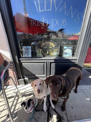 O'Sullivan's Irish Pub Escondido by null