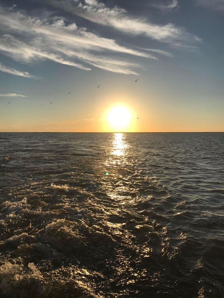 Life Seekers - grief counselor in Pass Christian, MS