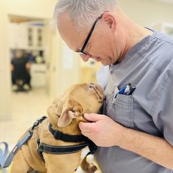 Renforth Veterinary Clinic