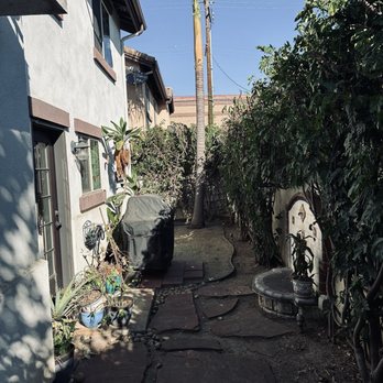 Mendoza's Tree Services - Before and after. The palm tree was completely covered with powderpuff hedges. - Tree Services Near Me - Hacienda Heights, California Mendoza's Tree Services - Before and after. The palm tree was completely covered with powderpuff hedges. - Tree Services Near Me - Hacienda Heights, California