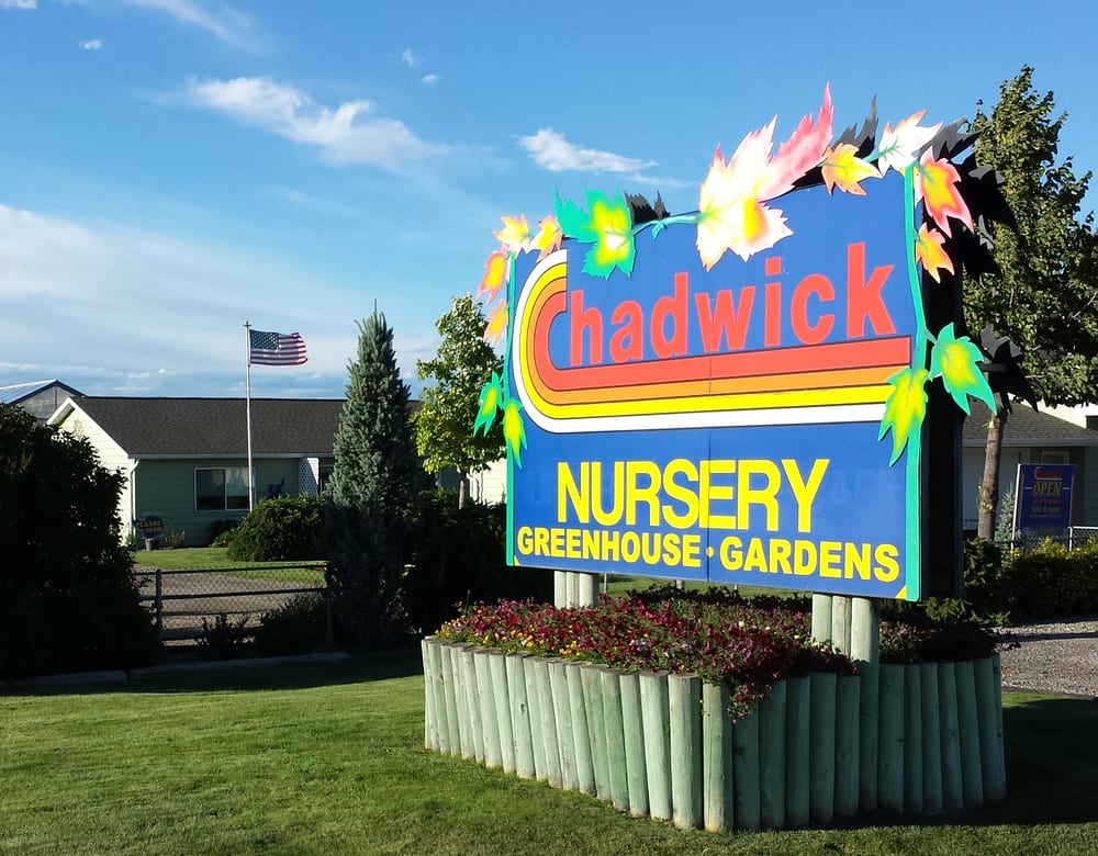 CHADWICK NURSERY Updated August 2024 11 Reviews 3010 E Custer Ave