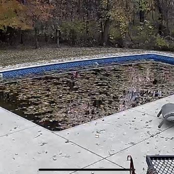 Singin’Sands - Photo of the condition of our pool, the leaves on the pool are within the past week or so but as you can see the pool is green. - Pool & Hot Tub Service Near Me - Michigan City, Indiana Singin’Sands - Photo of the condition of our pool, the leaves on the pool are within the past week or so but as you can see the pool is green. - Pool & Hot Tub Service Near Me - Michigan City, Indiana