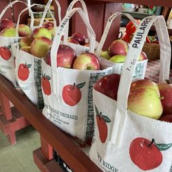 Rocky Ridge Orchard - Fresh apples