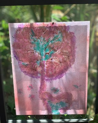 Placenta Package - Placenta encapsulation packages including options for a beautiful placenta print keepsake, flavored options for placenta tablets, placenta chocolates, and many more...