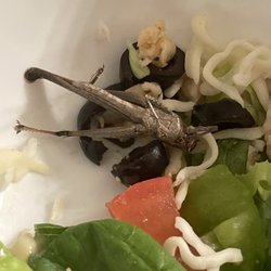 Blackjack Pizza & Salads - A whole grasshopper!