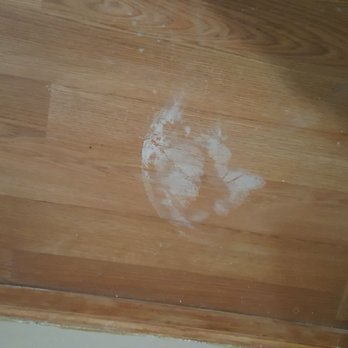 Rhino Roofing and Construction - Paint tracking - Roofing Near Me - Jacksonville, Florida Rhino Roofing and Construction - Paint tracking - Roofing Near Me - Jacksonville, Florida