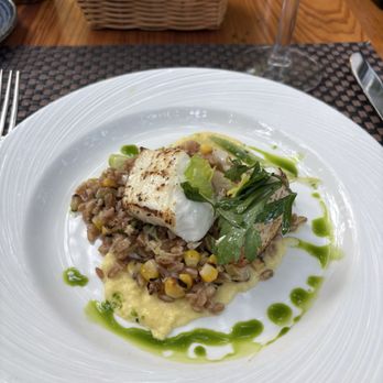 Piccolo Sogno - HALIBUT AL FORNO - Italian Near Me - Chicago, Illinois Piccolo Sogno - HALIBUT AL FORNO - Italian Near Me - Chicago, Illinois