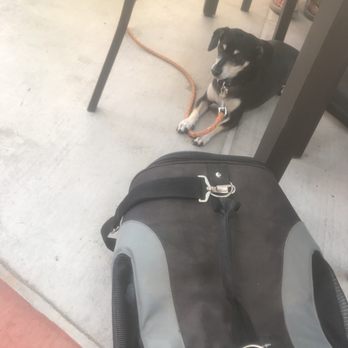 What's Crackin Cafe - Pet Friendly Patio - Breakfast & Brunch Near Me - Mesa, Arizona What's Crackin Cafe - Pet Friendly Patio - Breakfast & Brunch Near Me - Mesa, Arizona