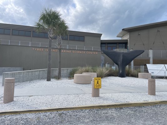 Tybee Island Marine Science Center by null