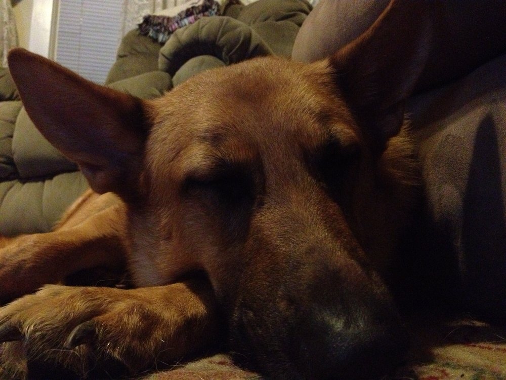 EXETER ANIMAL HOSPITAL Updated October 2024 1275 Wyoming Ave